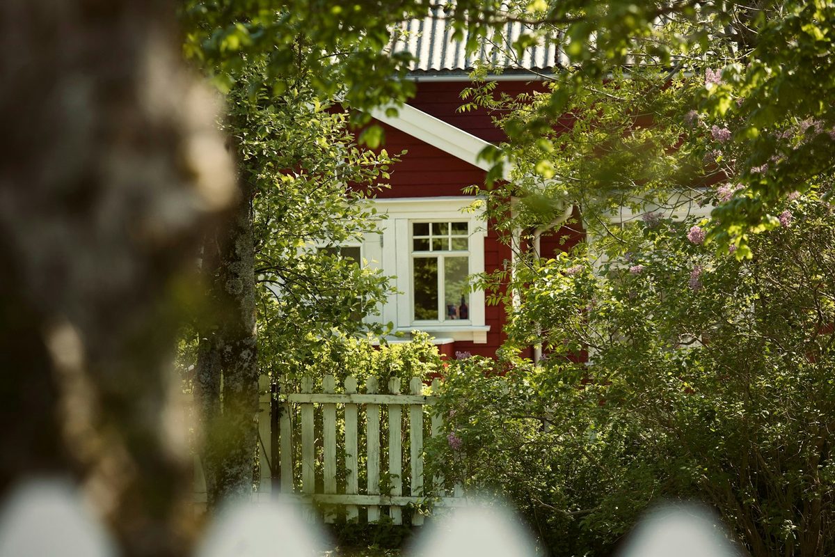 Rødt trehus med hvitt stakittgjerde bak frodige trær